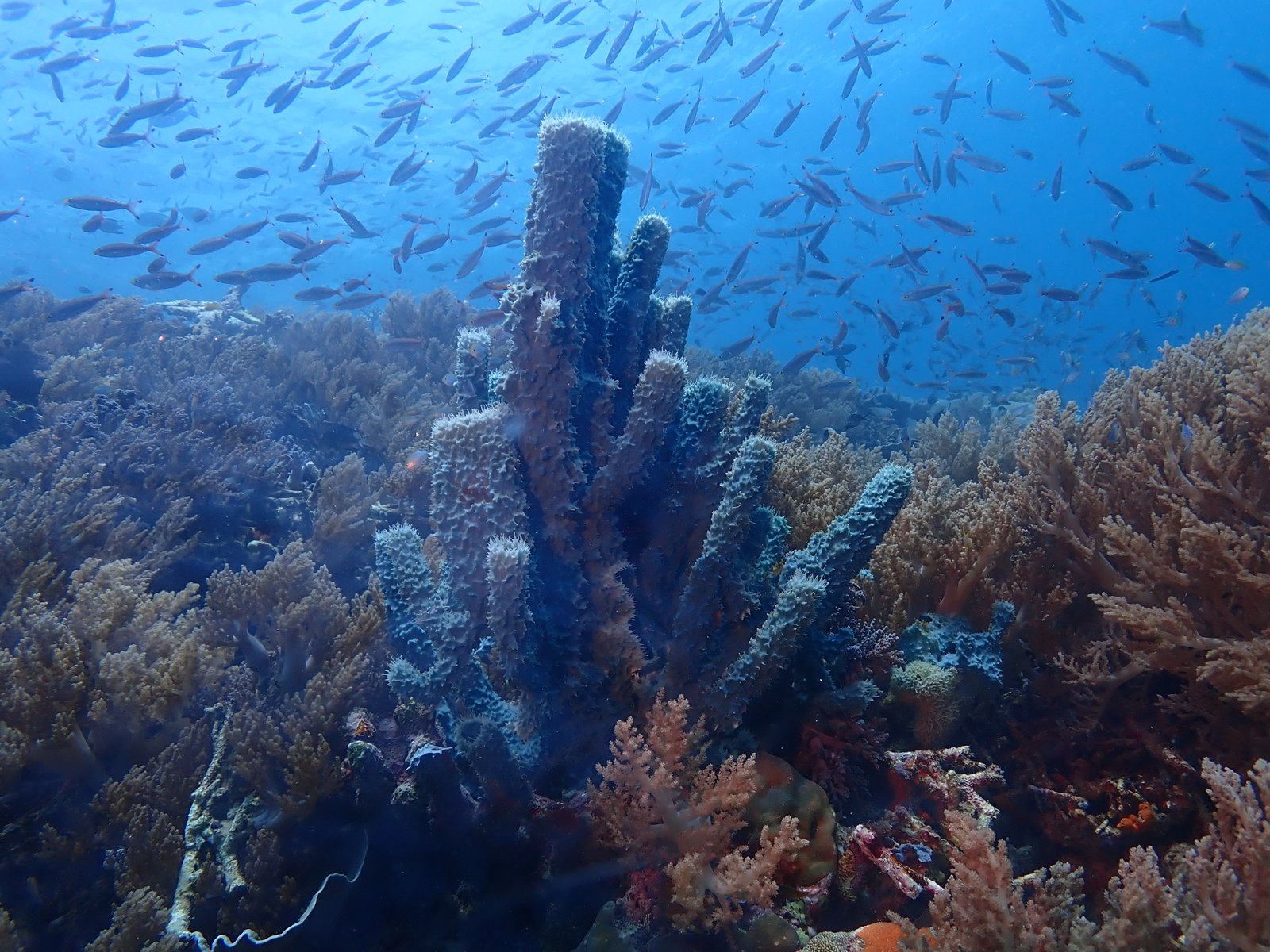 Pemandangan laut Raja Ampat